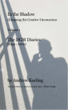 In the Shadow - Glimpsing the Creative Unconscious - Volume 1 of The DGM Diaries (1999 - 2002)